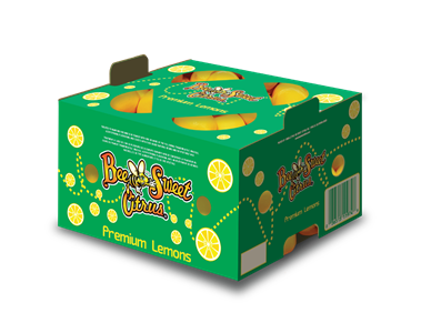 Lemon Consumer Pack 