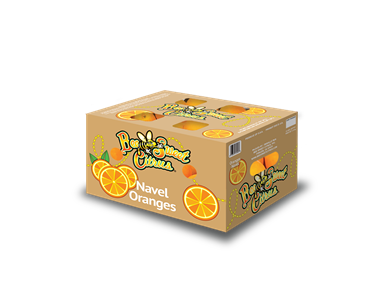 Navel Orange Carton - 10# 
